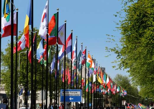 Flags UN Johan de Wittlaan (1)